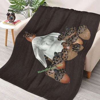 Tavşan Meşe Palamudu Atmak Battaniye 3D baskılı kanepe yatak odası dekoratif battaniye çocuk yetişkin noel hediyesi