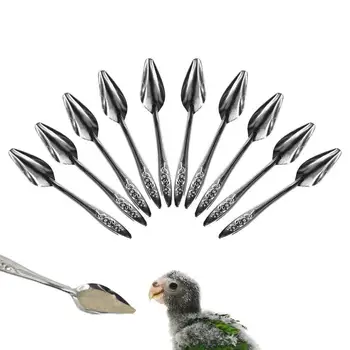 Papağan Besleyici Kaşık 10 adet Metal Kuş Sütü Kaşık Papağan besleme kaşığı Metal Kuş Sütü Kaşık El besleme kaşığı Muhabbet Kuşları İçin