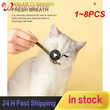 1 ~ 8 ADET Sopa / kutu Kedi Çiğniyor Ürünleri Tüm Doğal Catnip Sopa Ahşap Tengo Molar Sopa Diş Temizleme Kedi Sopa Kediler için Tüm