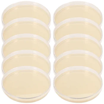 10 Adet Mantar Besin Agar Plaka alet setleri Cam Petri kabı Önceden Hazırlanmış Tabaklar