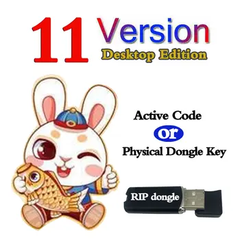 DTF RIP DTG UV Yazılımı Ver 11 Masaüstü Sürümü Dongle İçin Epson L1800 L805 R1390 XP-15000 P700 P900 DTF Yazıcı Sürümü 11