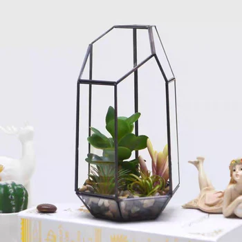 Ev Sera Altıgen Cam Vazo saksılar Minyatür Mini Peyzaj Bahçe Ev Saksı Bitki Dekorasyon
