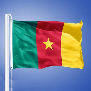 Kamerun bayrağı 90x150 cm çift taraflı polyester Afiş Kamerun bayrağı Asılı Ulusal bayraklar dekorasyon için