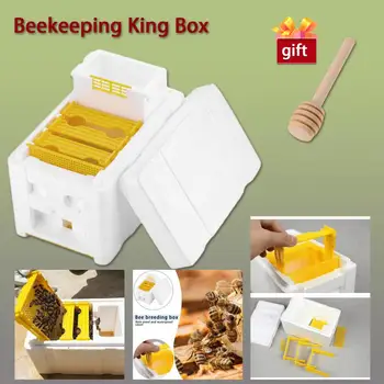 Arı kovanı Arıcılık Kral Kutusu Köpük Bahçe Ev Arı Kovanı Tozlaşma Kutuları Hasat Arı Kovanı Arıcı Çiftleşme Malzemeleri