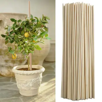 50 Adet Bambu Bitki Büyümek Destek Çubukları Bahçe Saksı Çiçek Köpekler Çubuk Araçları