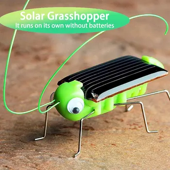 Güneş Çekirge Oyuncak Bulmaca Çocuk Seçilen Hediye Simülasyon Böcek Hediye Erkek Ve Kız Bilim Eğitim Komik Hareketli Oyuncak Çocuk