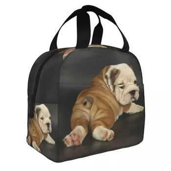 Sevimli İngilizce Bulldog Öğle Yemeği Çantası Taşınabilir Yalıtımlı Termal Soğutucu İngiliz Köpek yemek taşıma çantası Kadınlar için Çocuk Okul Gıda Bento Kutusu
