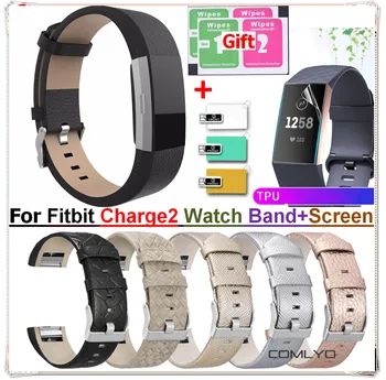 2 İn1/Lot film ekran Koruyucular saat kayışı Fitbit Şarj 2 için akıllı bilezik Watchband Deri Bilek Fitbit Charge2 İzle