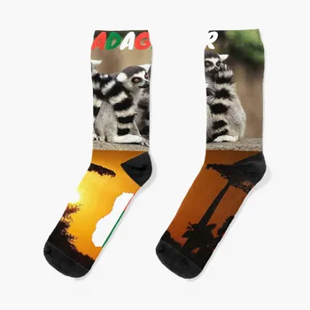 Madagaskar, Lemur catta, Baobab Çorap Arjantin retro spor ve eğlence Erkek Çorap kadın